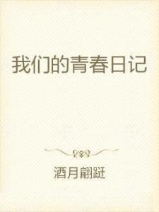 我们的对立日记,揭秘内心冲突与成长之旅