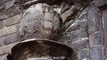 堡垒坚石,探寻坚石之奥秘