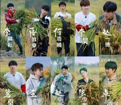 种地吧！少爷,田园生活与贵族少爷的奇妙邂逅