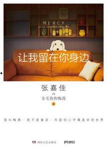 让我留在你身边,探寻“让我留在你身边”的深情告白